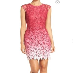 Adelyn Rae Ombre Lace Sheath Dress Sz S